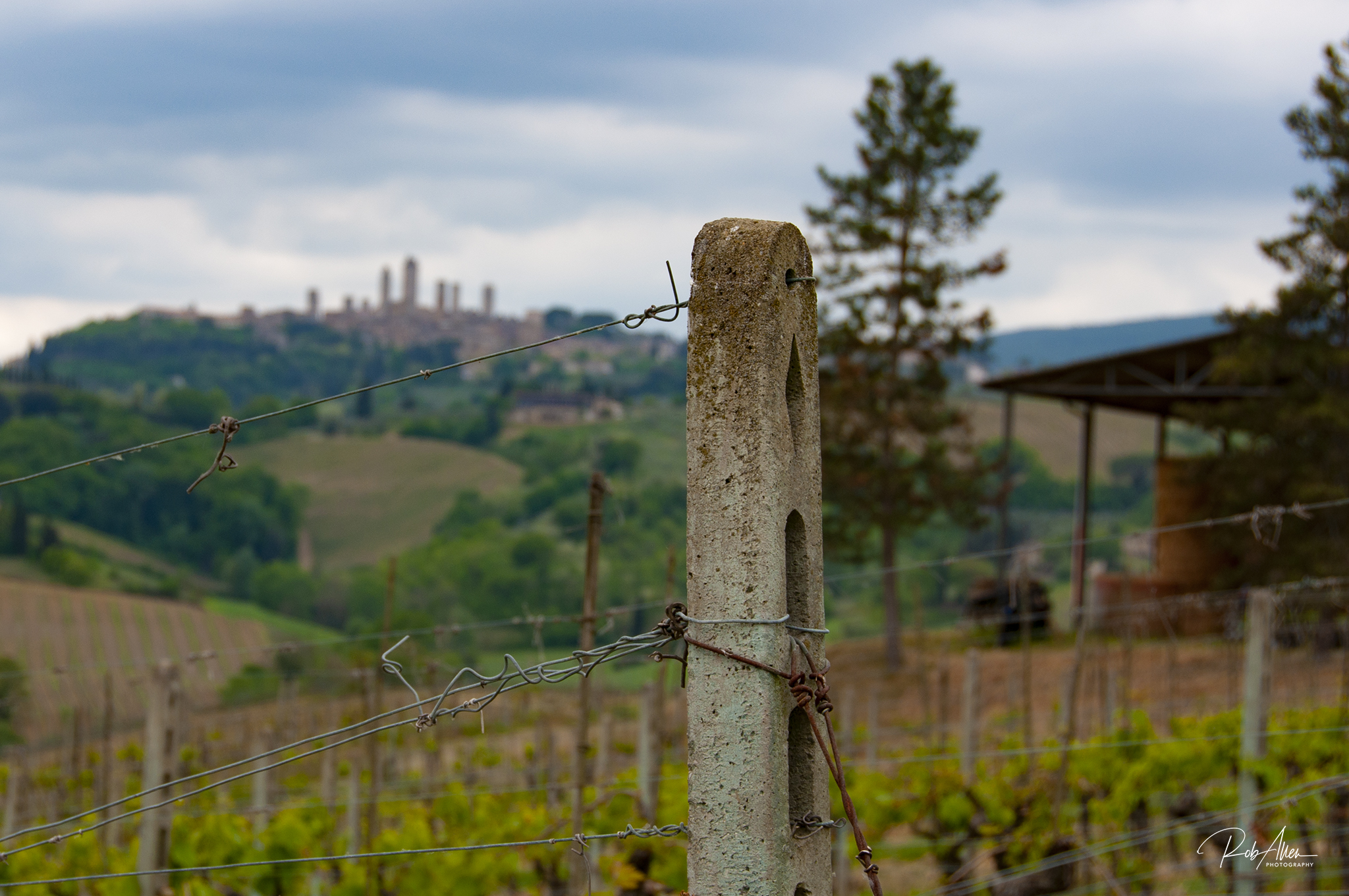 20170425_SanGimignanoVineyard-0465