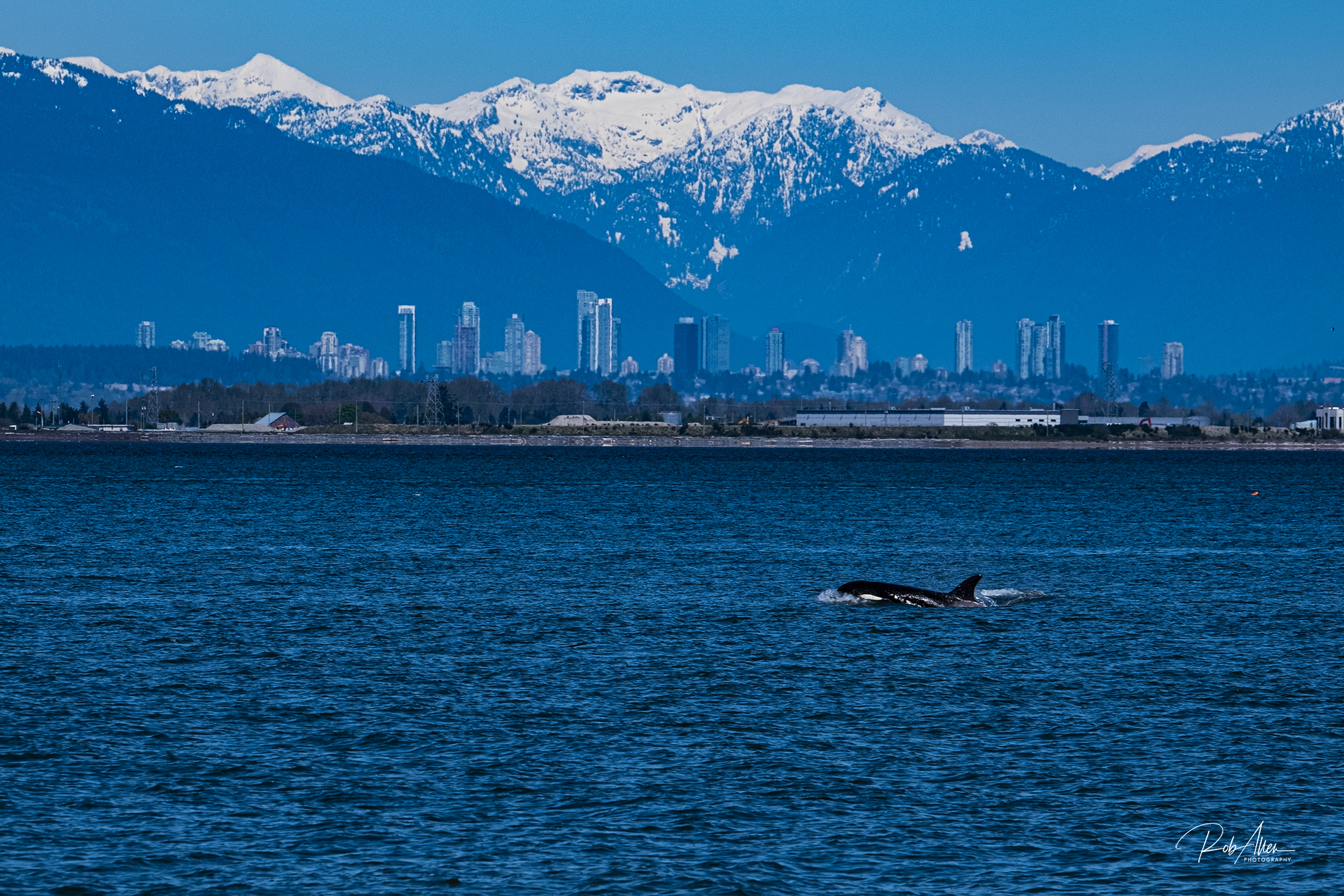 20180423_RichmondOrca-1503
