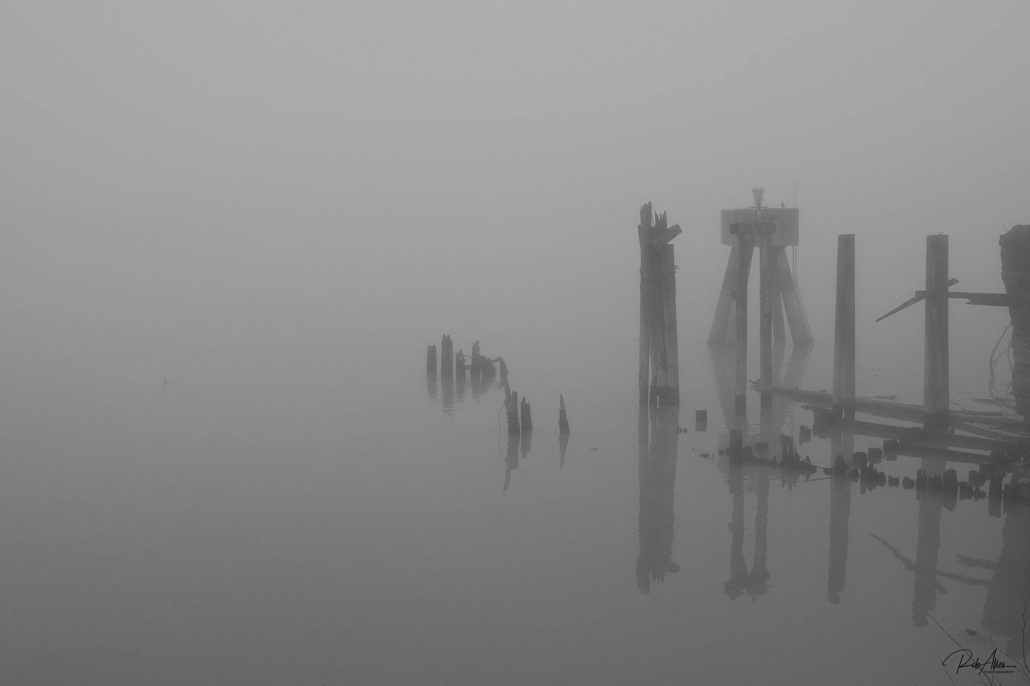 20190218_FogOnTheWater