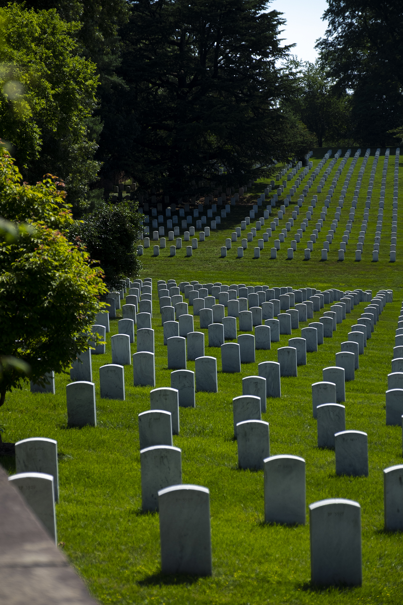 20190628_ArlingtonCem-1146
