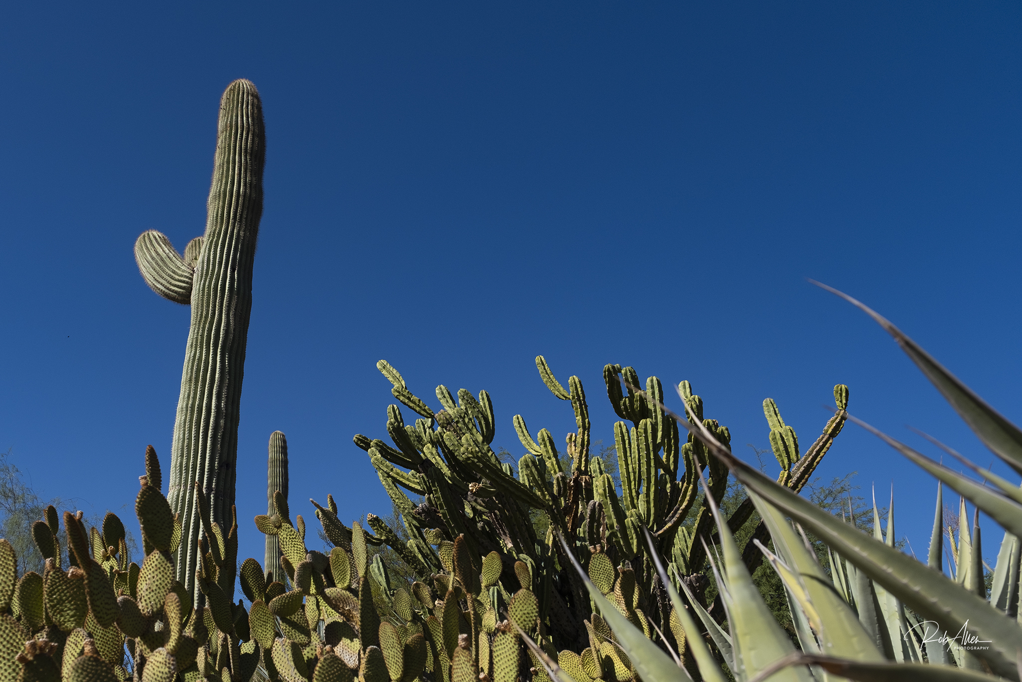 20191028_BotanicalGarden-0159