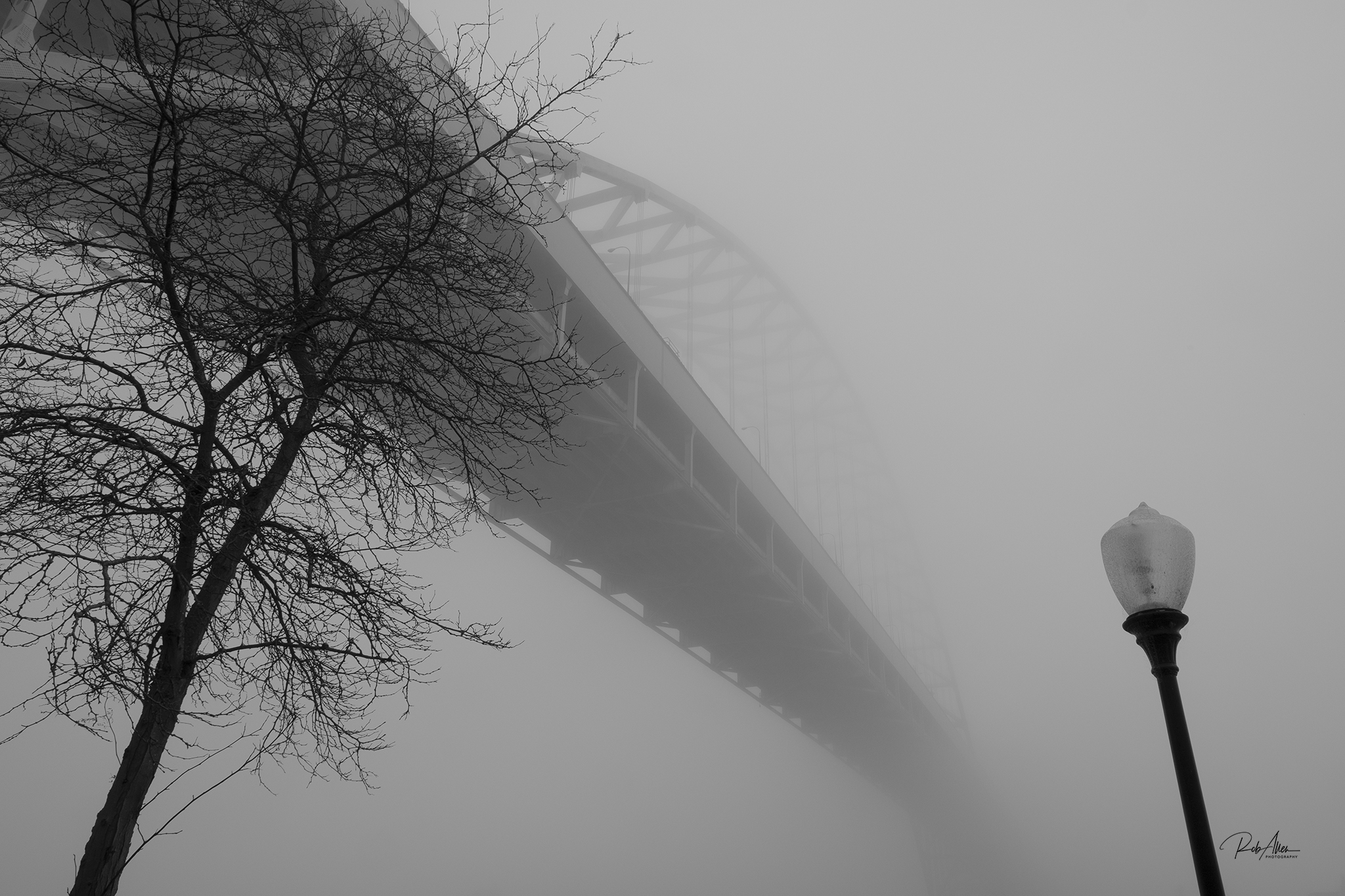 20191116_FremontFogTreeLight-1544
