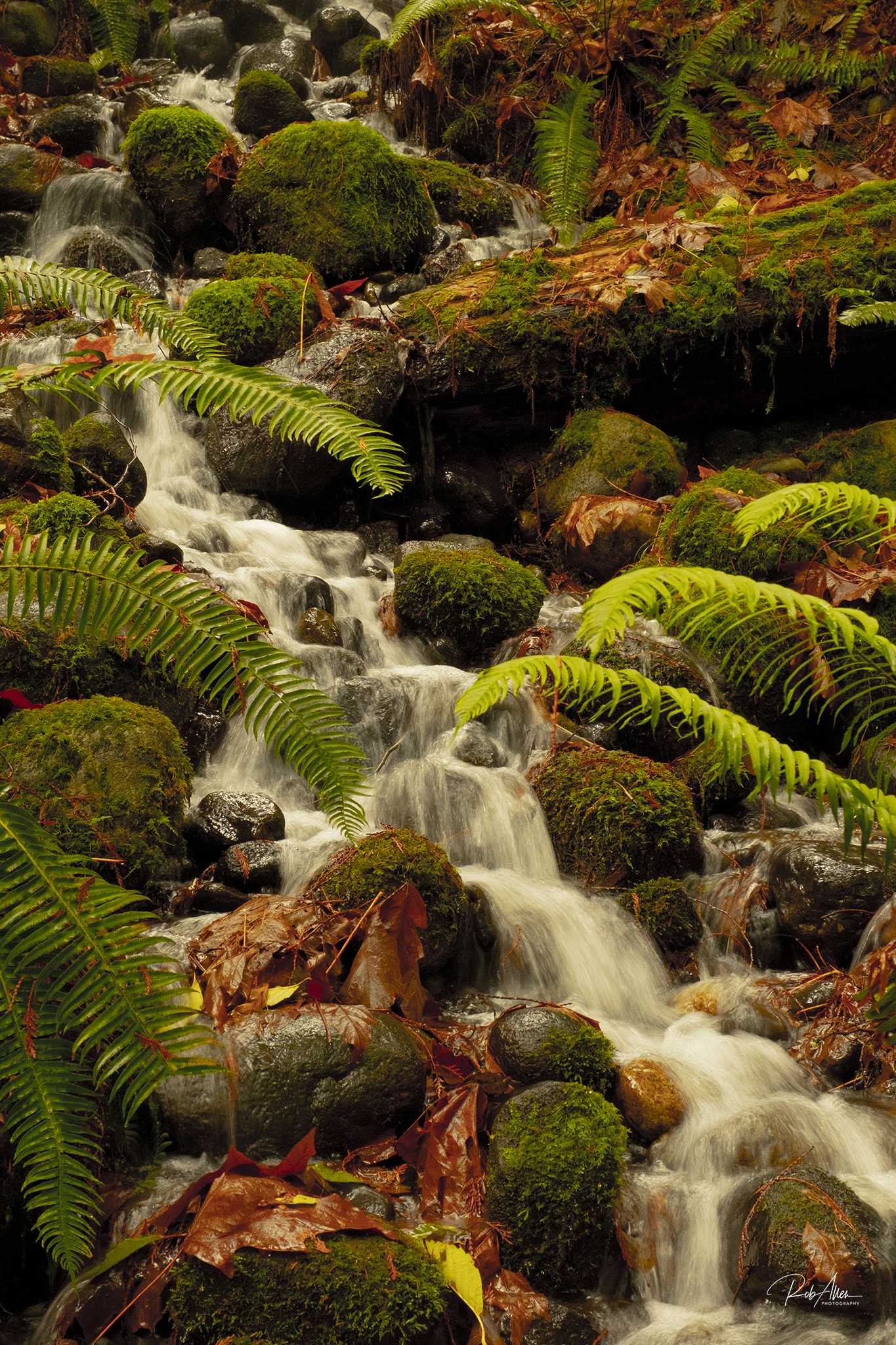 20191124_CapilaWaterfall-5738