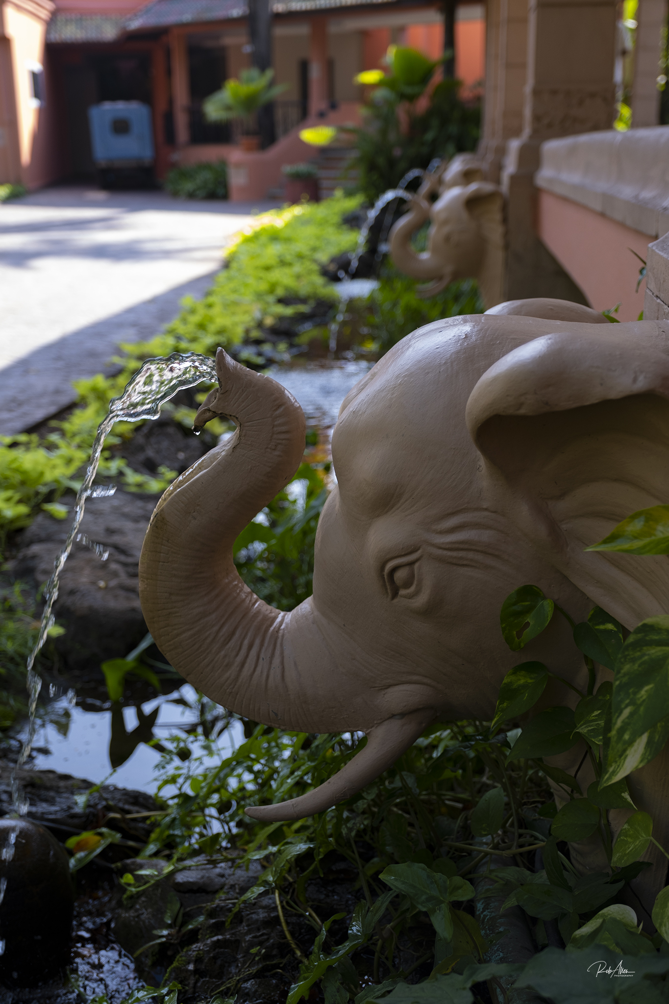 20191207_ElephantFountains-2297