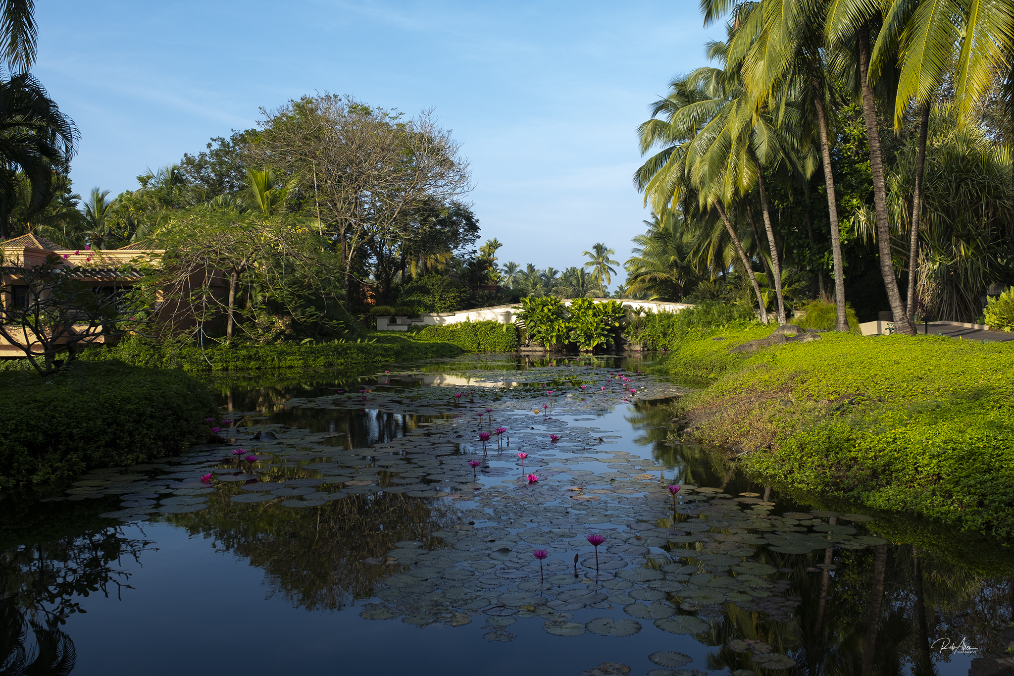 20191207_LeelaLillyPond-2216