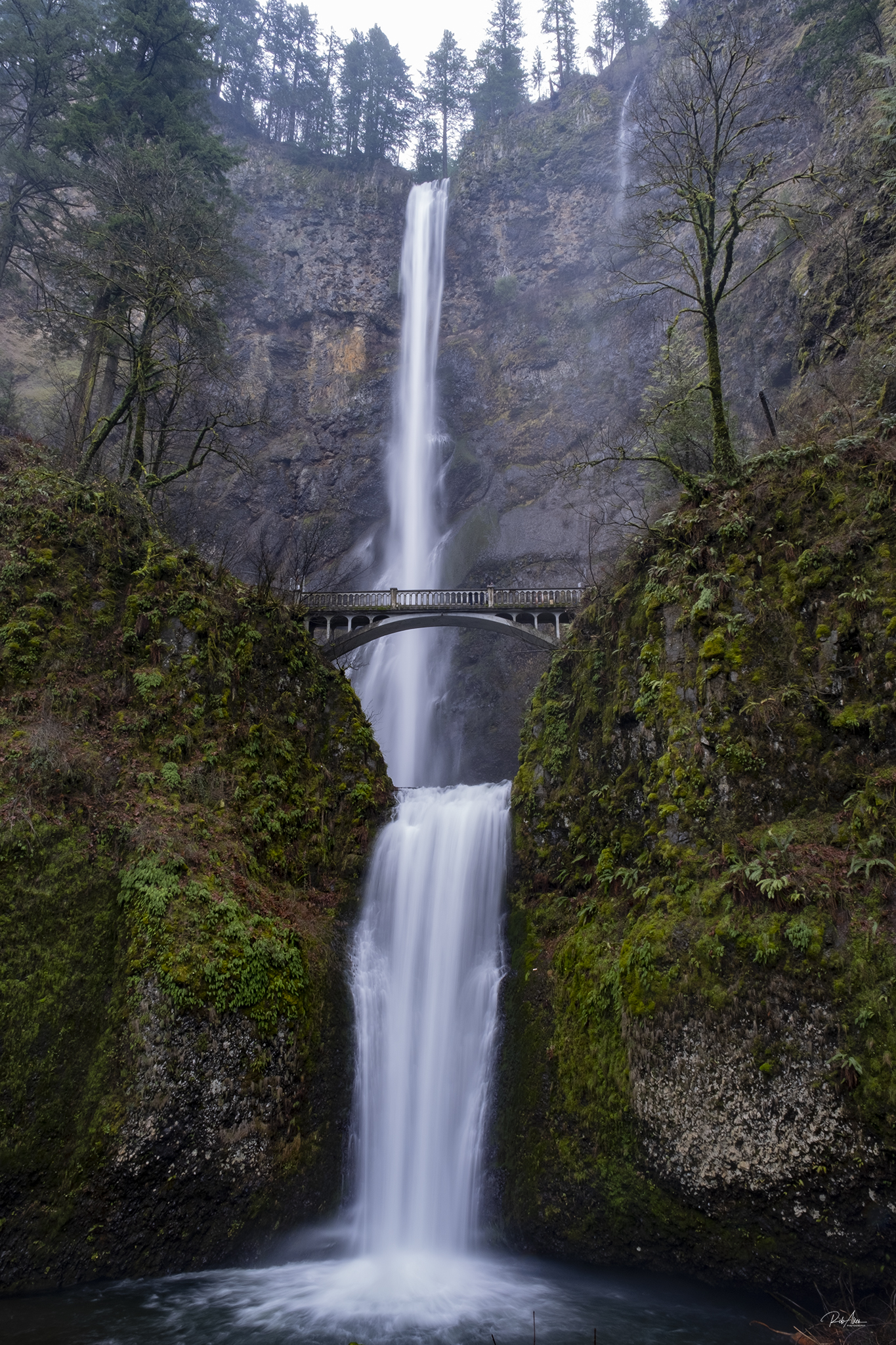 20200120_MultnomahFalls-3221