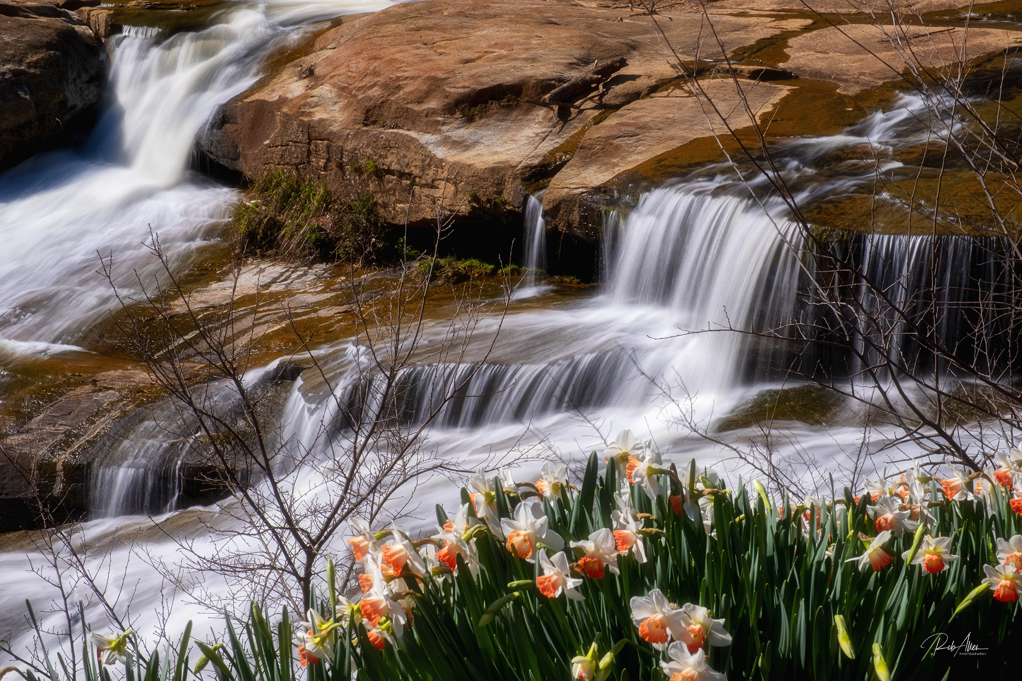 20200307_FallsFlowers2-6300