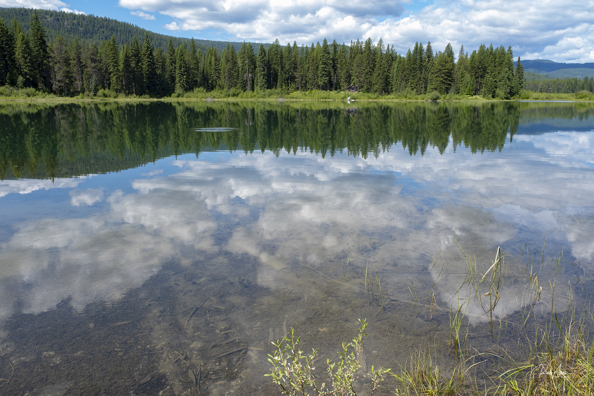 20200705_DuckLake-5387
