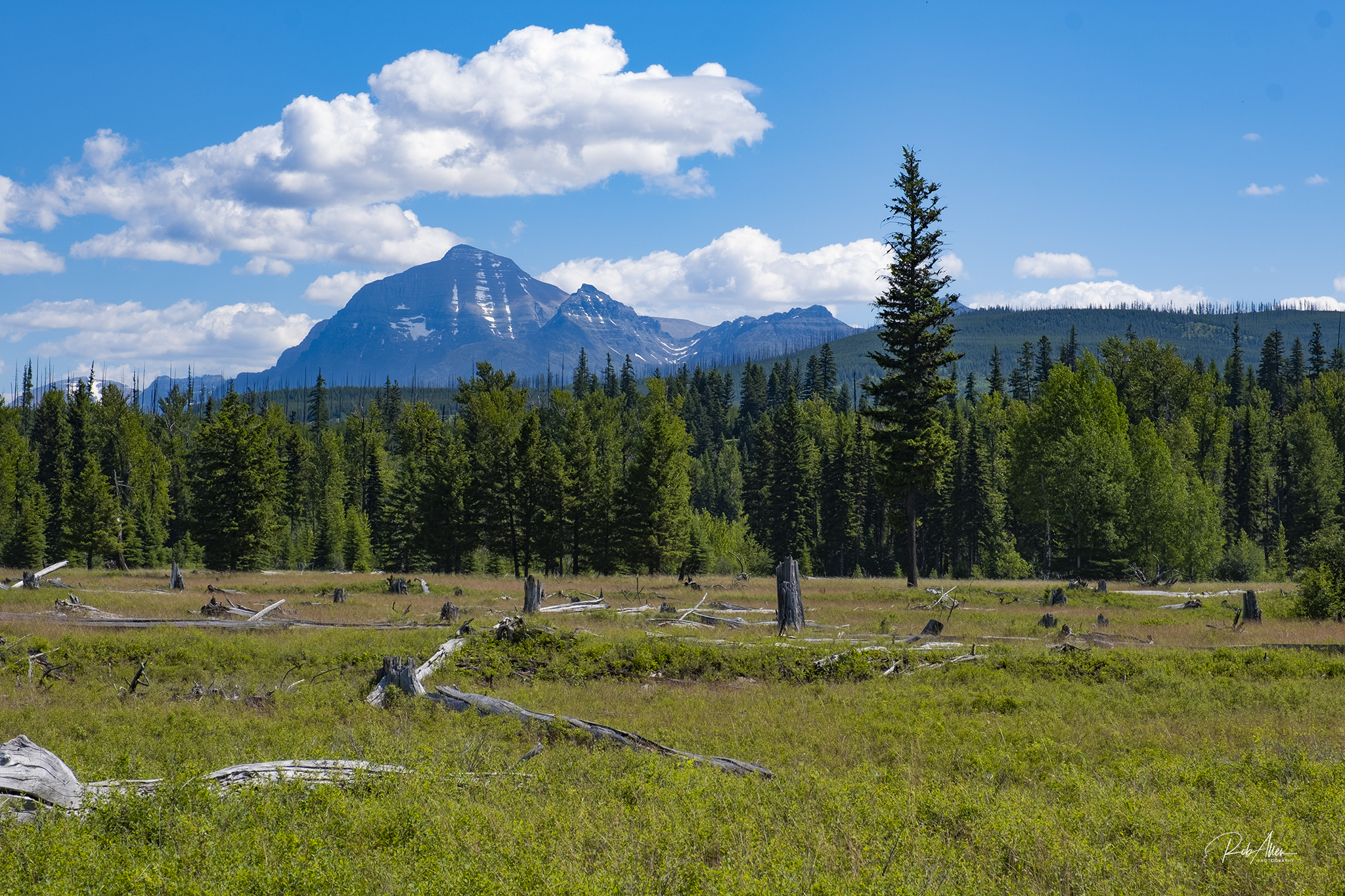 20200706_PolebridgeMtns-5482