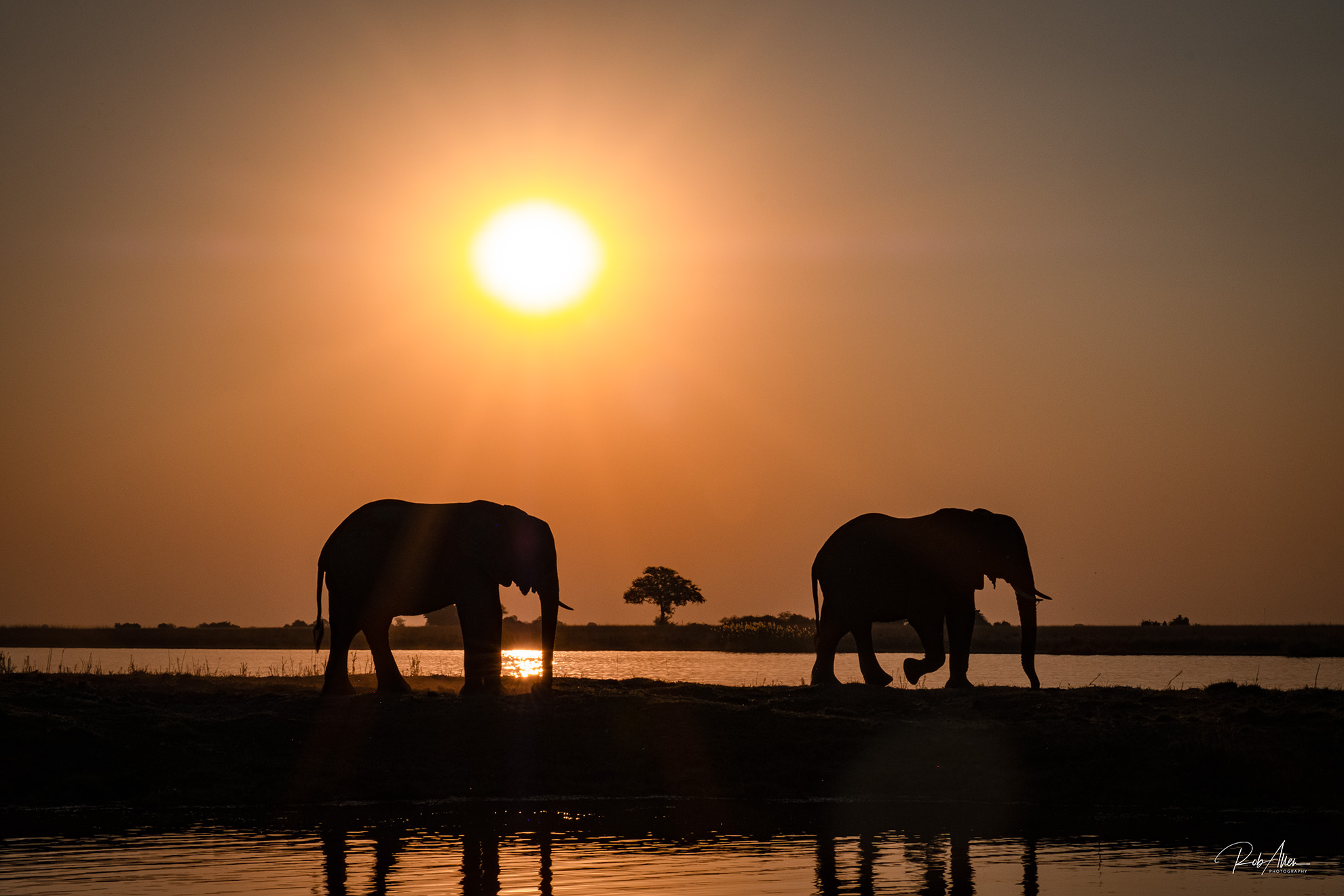 2024AUG02_ElephantSunsetFB-2677