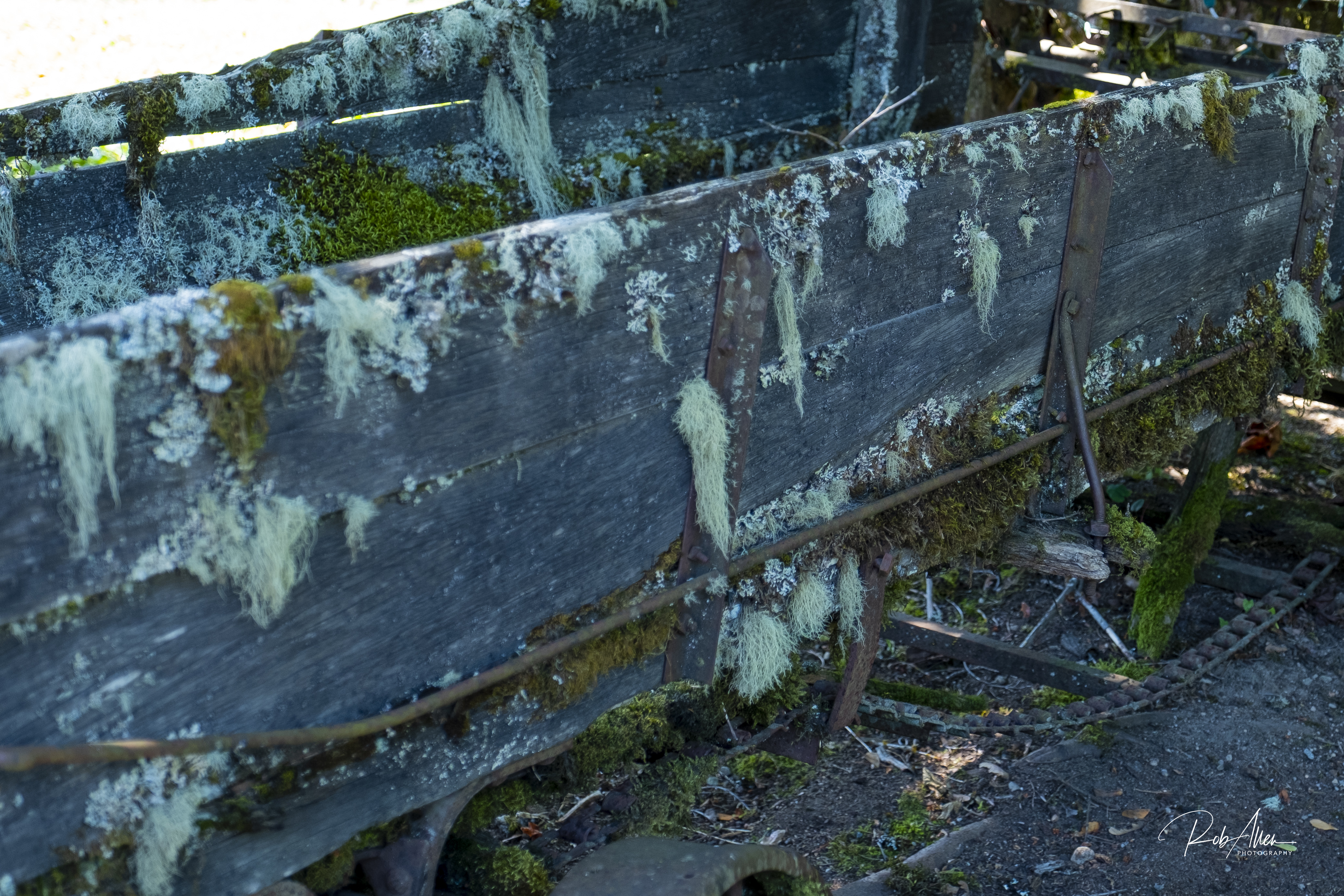 Hood's Mossy Wagon