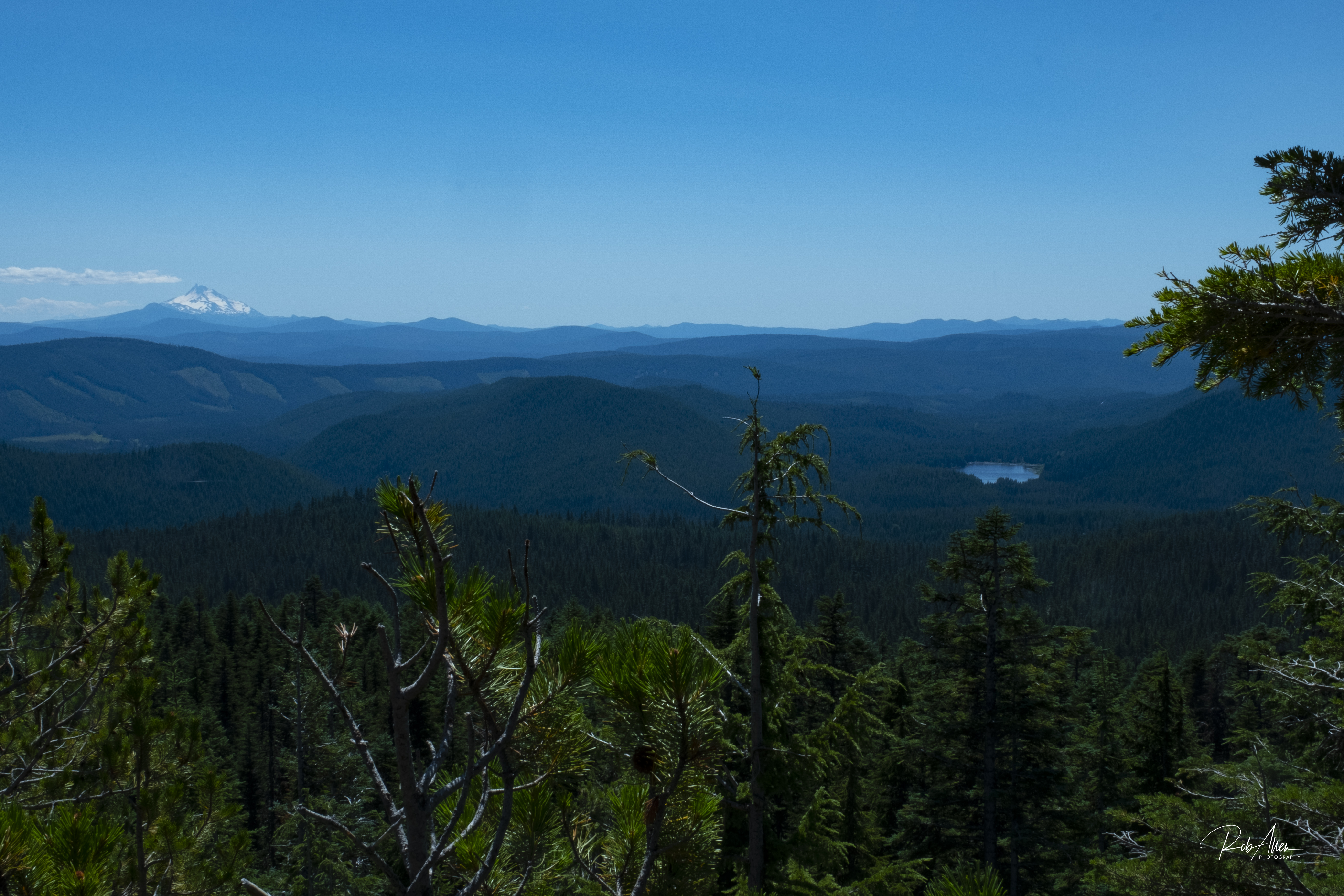 The View