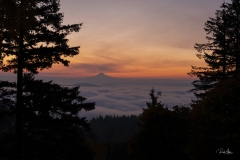 1_20191022_MtHoodFog3-4346