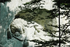 20060904_LucernLion-0751