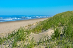 20100507_GearhartBeach2-0576