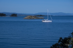 20180423_Sailboat-1108