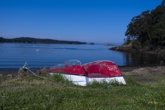 20180427_RocheHarborDingy-3285
