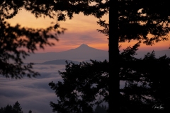 20181022_MtHoodFog2-4341