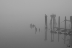 20190218_FogOnTheWater