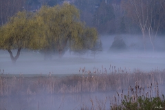 20190330_TsawwassenSprings-3826