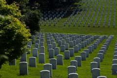 20190628_ArlingtonCem-1146