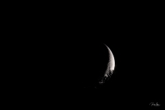 20191001_MoonForest-5826
