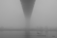 20191116_FremotFogRace-1536