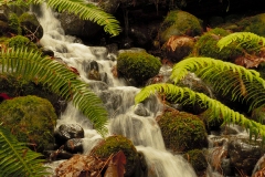 20191124_CapilaWaterfall-5738