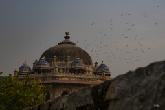 20191205_IsaKahnsTomb-1998