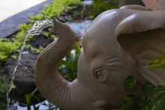 20191207_ElephantFountains-2297