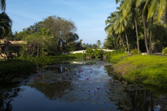 20191207_LeelaLillyPond-2216