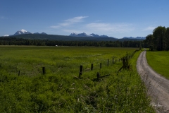 20200703_MontanaDirtRoad-5196