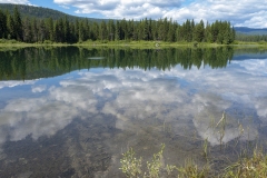 20200705_DuckLake-5387