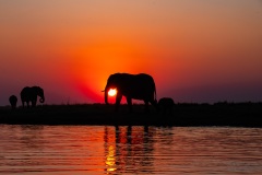 2024AUG05_EleSunset-3042