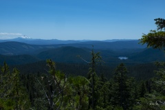 The View