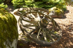 WP_20190728_WagonWheels-1506